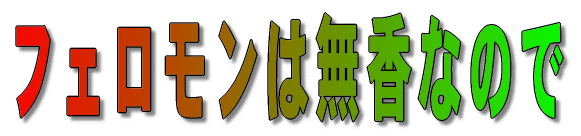 �q�g�t�F����������